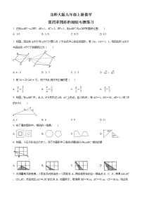 初中数学北师大版九年级上册第四章 图形的相似综合与测试综合训练题