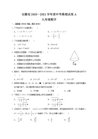 安徽省2021年九年级中考数学模拟试卷A