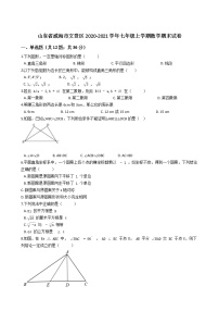 山东省威海市文登区2020-2021学年七年级上学期期末数学试卷（word版 含答案）