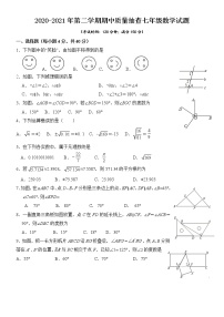 福建省莆田市2020-2021学年七年级下学期期中质量抽查数学试题