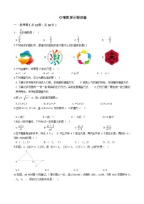 湖南省中考数学模拟提高试卷十八套含答案