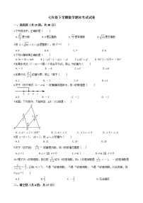 安徽省六安市七年级下学期数学期末考试试卷附答案