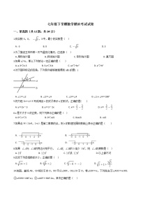 广西壮族自治区玉林市七年级下学期数学期末考试试卷