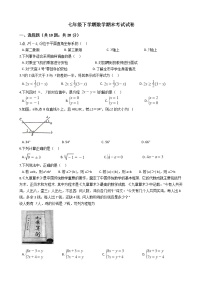 河南省周口七年级下学期数学期末考试试卷