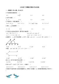 广西壮族自治区七年级下学期数学期末考试试卷