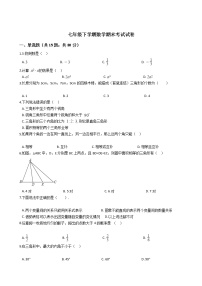 贵州省毕节市七年级下学期数学期末考试试卷