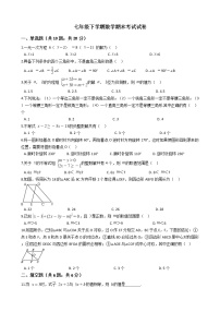 河南省周口市七年级下学期数学期末考试试卷