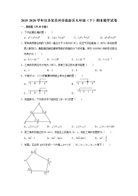 江苏省苏州市高新区2019-2020学年第二学期七年级期末考试数学试卷 解析版