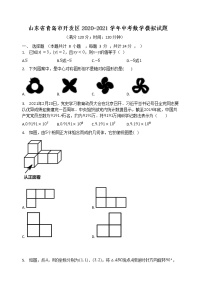 山东省青岛市开发区2021年中考模拟数学试题