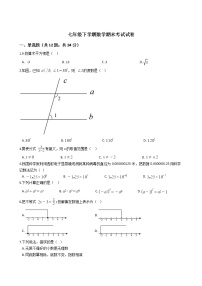 广西壮族自治区梧州市七年级下学期数学期末考试试卷