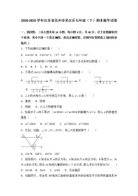 苏州市吴江区2018-2019学年七年级下期末数学试卷含答案解析