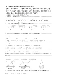 苏科版七年级下册数学期末复习综合试卷（3）及参考答案