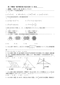 苏科版七年级下册数学期末复习综合试卷（2）及参考答案