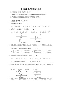 苏教版七年级下册数学期末数学试题(含答案) (3)