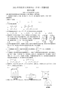 2021年福建龙岩市初中毕业班教学质量检测数学试题（word版 含答案）