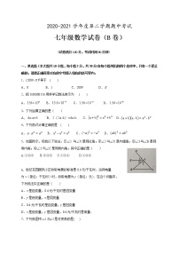 广东省高州市2020-2021学年七年级下学期期中联考数学试题B（word版 含答案）