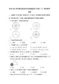 _湖北省武汉市东湖高新区2020-2021学年八年级上学期中数学试卷（word版 含答案）