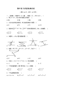 2020-2021学年七年级数学青岛版下册期中复习质量检测试卷