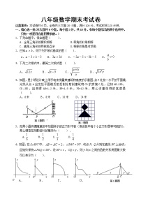 苏科版八年级数学下册期未考试 初二数学试卷