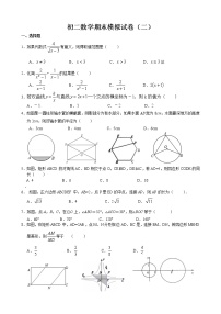 苏科版八年级数学下册期末模拟试卷(二)