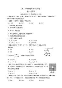 苏科版七年级下册数学期末考试试卷 初一数学 (2)