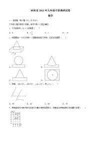 2021年河南省九年级中招调研测试卷数学试题