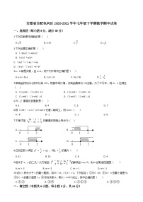 安徽省合肥包河区2020-2021学年七年级下学期数学期中试卷 (解析版)