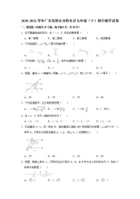 2020-2021学年广东省阳江市阳东区七年级（下）期中数学试卷