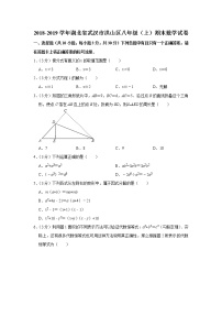 2018-2019学年湖北省武汉市洪山区八年级（上）期末数学试卷