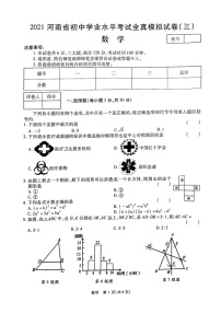 2021年河南省初中学业水平考试全真模拟试卷（三）数学（带答案）