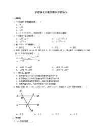 2020-2021学年沪教版七年级下册数学期中评价练习附答案