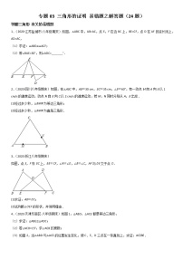 北师大版八年级下册第一章 三角形的证明综合与测试课时训练