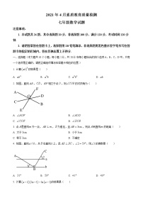 山东省菏泽市曹县2020-2021学年七年级下学期期中数学试题