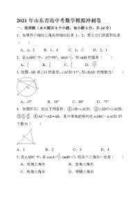 2021年山东省青岛市中考数学模拟冲刺卷