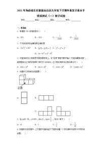 2021年海南省乐东黎族自治县九年级下学期毕业生学业水平模拟测试（一）数学试题（word版含答案）