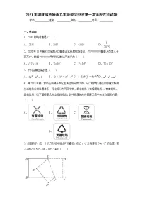 2021年湖北省恩施市九年级数学中考第一次适应性考试题(word版含答案)