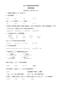 2021年海南省三亚市九年级初中毕业模拟考试数学试卷