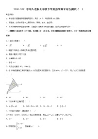 2020-2021学年人教版七年级下学期数学期末综合测试（一）