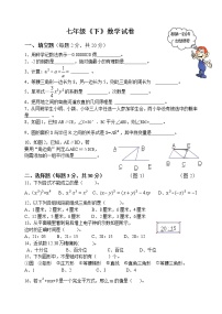 北师大版七年级数学下册期末综合复习试卷