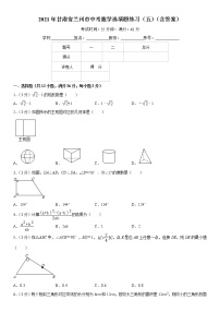 2021年甘肃省兰州市中考数学选填题练习（五）（含答案）