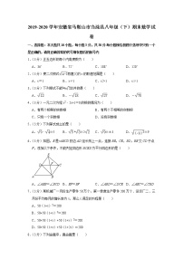 2019-2020学年安徽省马鞍山市当涂县八年级（下）期末数学试卷