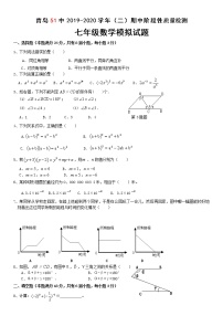 山东省青岛第五十一中学2019-2020学年七年级下学期期中阶段性质量检测数学模拟试题