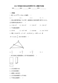 2021年内蒙古包头市东河区中考二模数学试题(word版含答案）