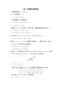 沪科版九年级上册数学 第一学期期末测试卷