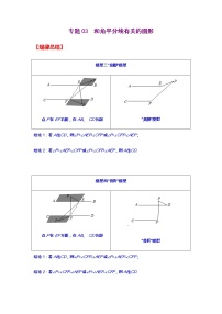 专题03  和角平分线有关的图形-2021年中考数学二轮复习经典问题专题训练