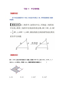 专题14  中位线问题-2021年中考数学二轮复习经典问题专题训练