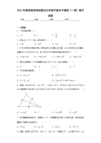 2021年陕西省宝鸡市陇县九年级学业水平模拟（一模）数学试题（word版 含答案）