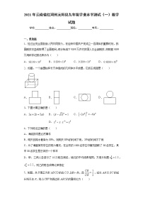 2021年云南省红河州元阳县九年级学业水平测试（一）数学试题（word版 含答案）