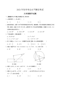 2021年山东省枣庄市5月中考数学试题（word版 含答案）