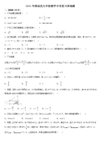 2021年河南省淮滨县九年级数学中考复习训练题